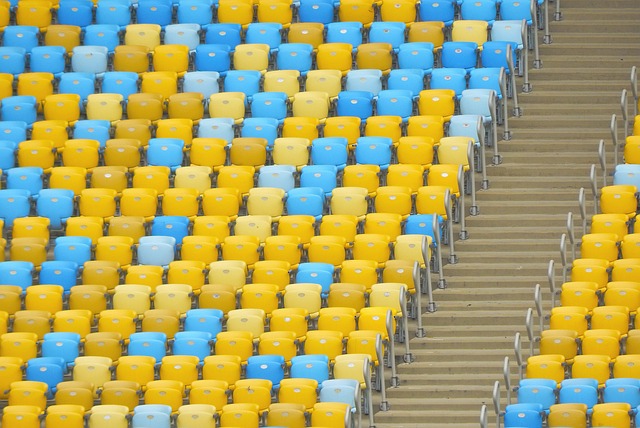 可替代的位 可替代的位