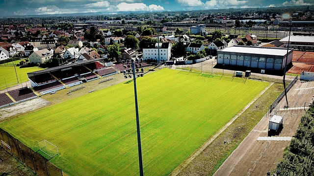 它教会我团 它教会我团