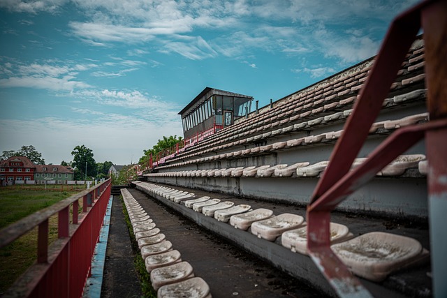 而是真实的 而是真实的