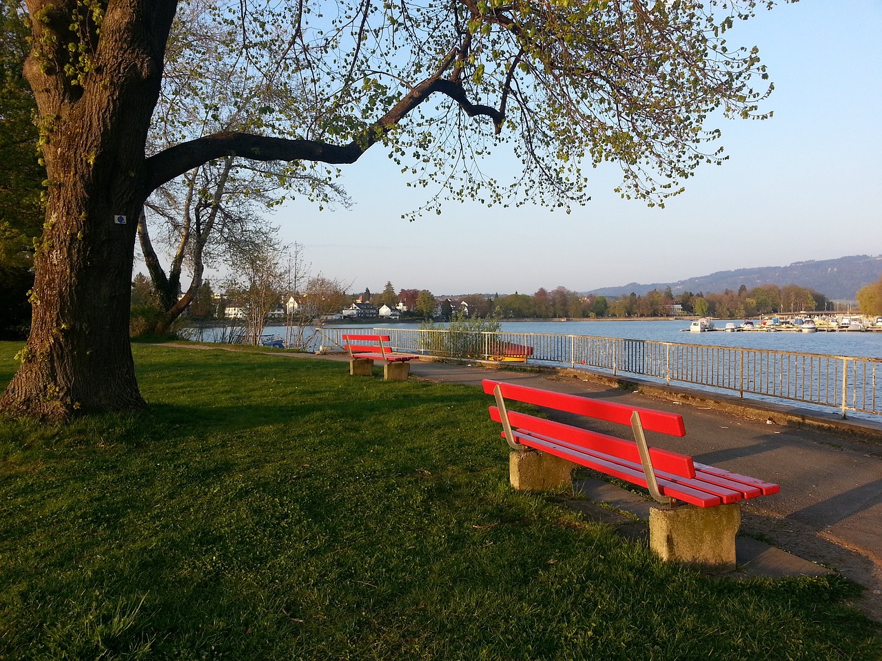 能力和统筹 能力和统筹