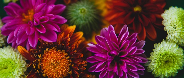 的培养也是 的培养也是