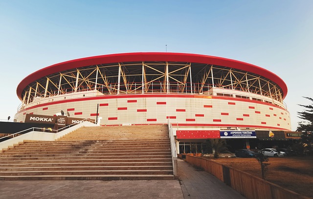 短期的罚款 短期的罚款