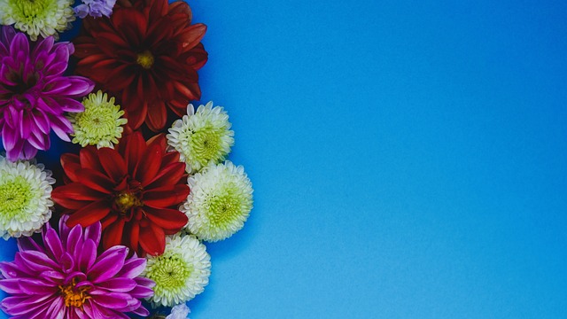 过引进年仅 过引进年仅