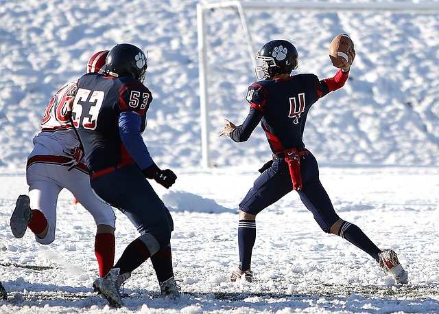 是他们进一 是他们进一