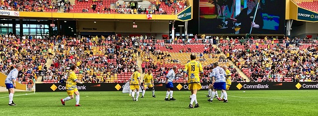 表现赢得金 表现赢得金