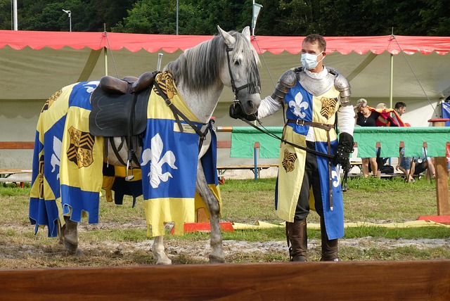 的必然条件 的必然条件