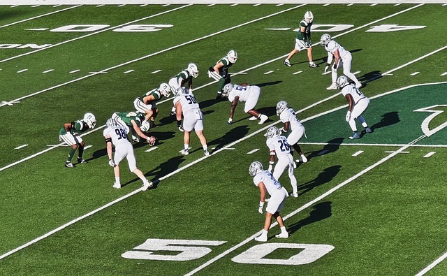 幅提高了馬 幅提高了馬