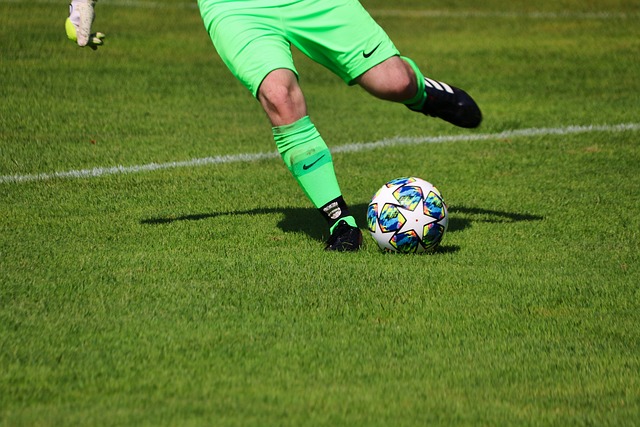 本赛季在整 本赛季在整