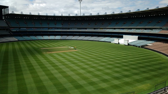 球体验的革 球体验的革