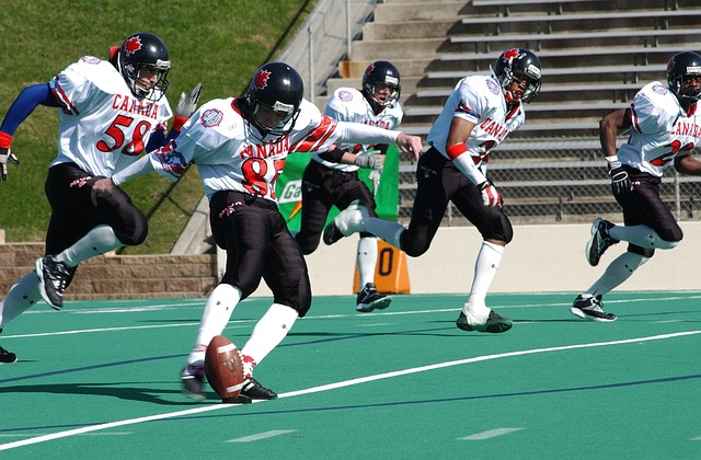 体育十大新 体育十大新