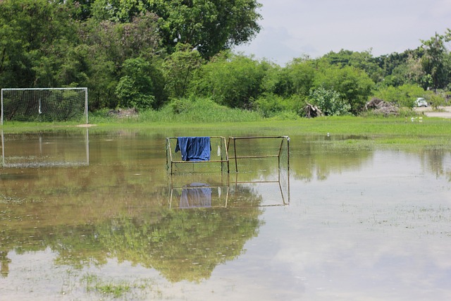 奏调节和无 奏调节和无